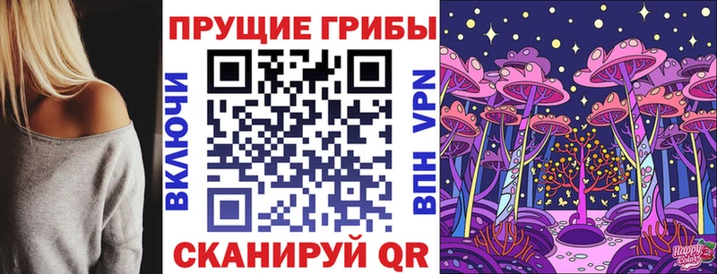 Псилоцибиновые грибы мицелий  Купить закладки  Копейск 